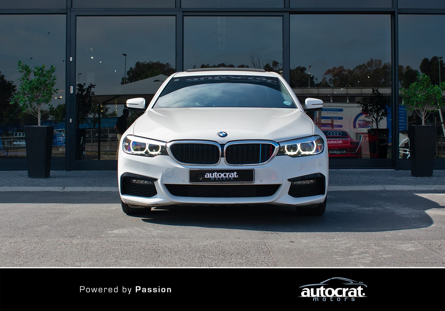 2019 BMW 5 Series 520d M Sport — photo 8
